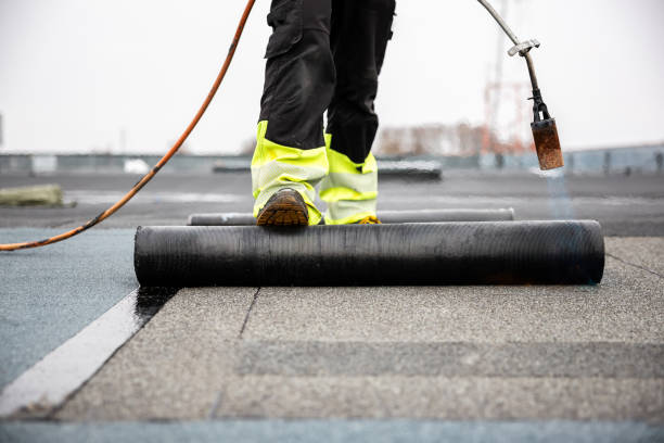 Best Roof Moss and Algae Removal  in Oberlin, KS